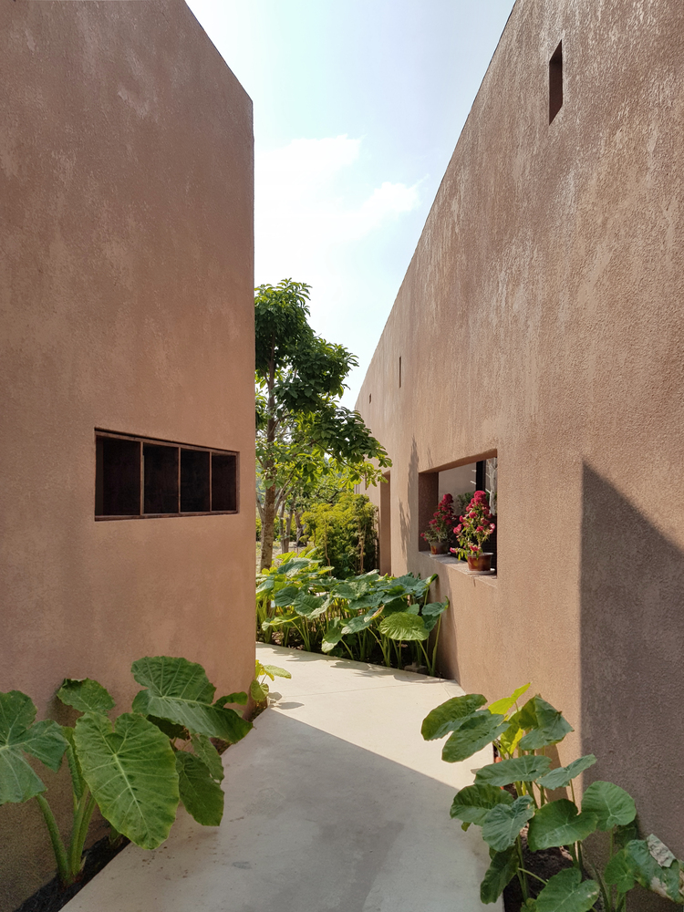 hình ảnh cận cảnh lối đi sân vườn Phú Mỹ, hai bên trồng cây xanh, các ô trống trên tường bê tông