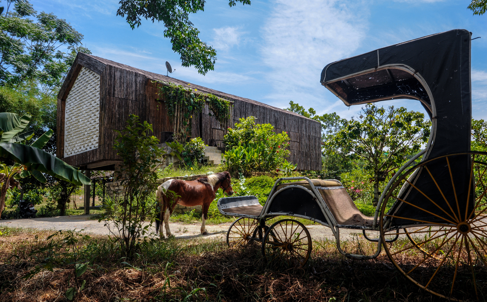 hình ảnh cận cảnh cỗ xe ngựa cạnh ngôi nhà trang trại ở Đà Nẵng