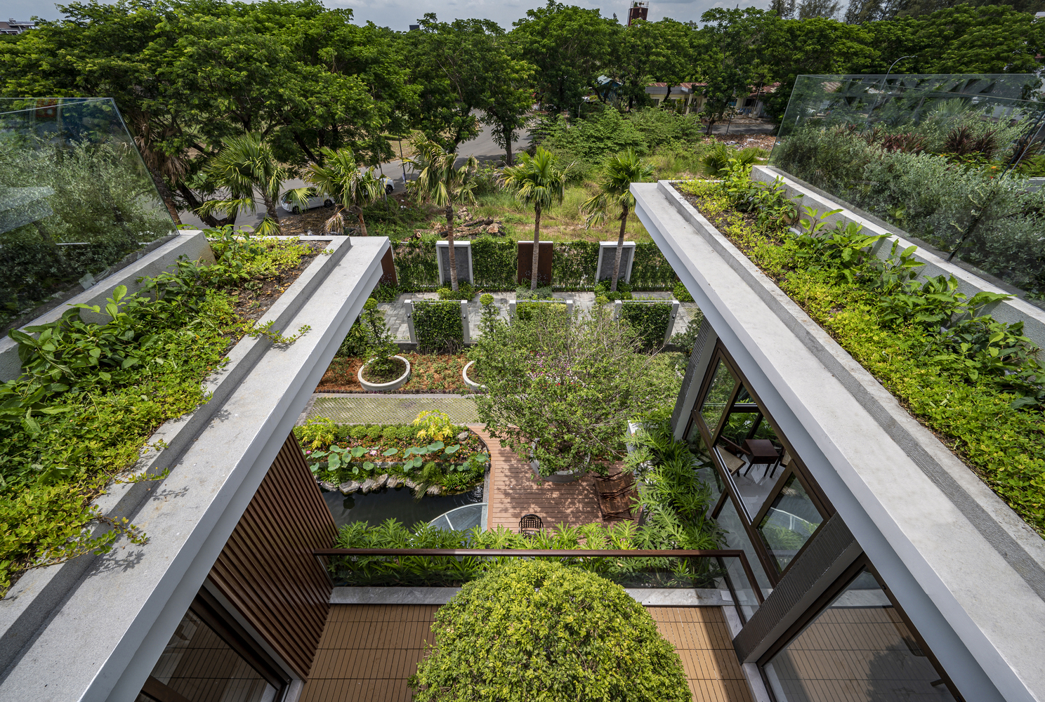 hình ảnh hình ảnh vườn rau xanh mướt trên tầng thượng, mái biệt thự