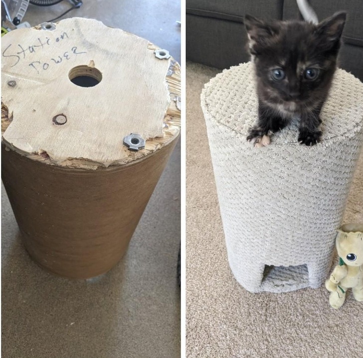 hình ảnh đồ chơi cho mèo làm từ vật dụng tái chế