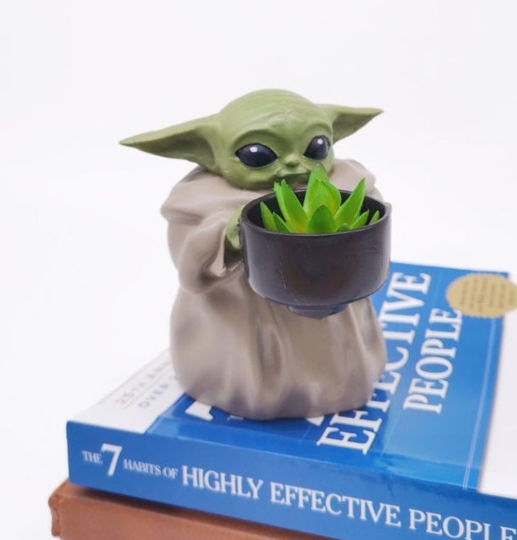 hình ảnh cận cảnh chậu cây trồng Baby Yoda