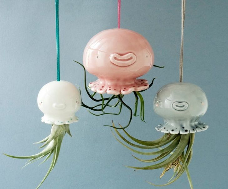 hình ảnh cận cảnh 3 chậu trồng cây hình sứa màu hồng, xanh, trắng