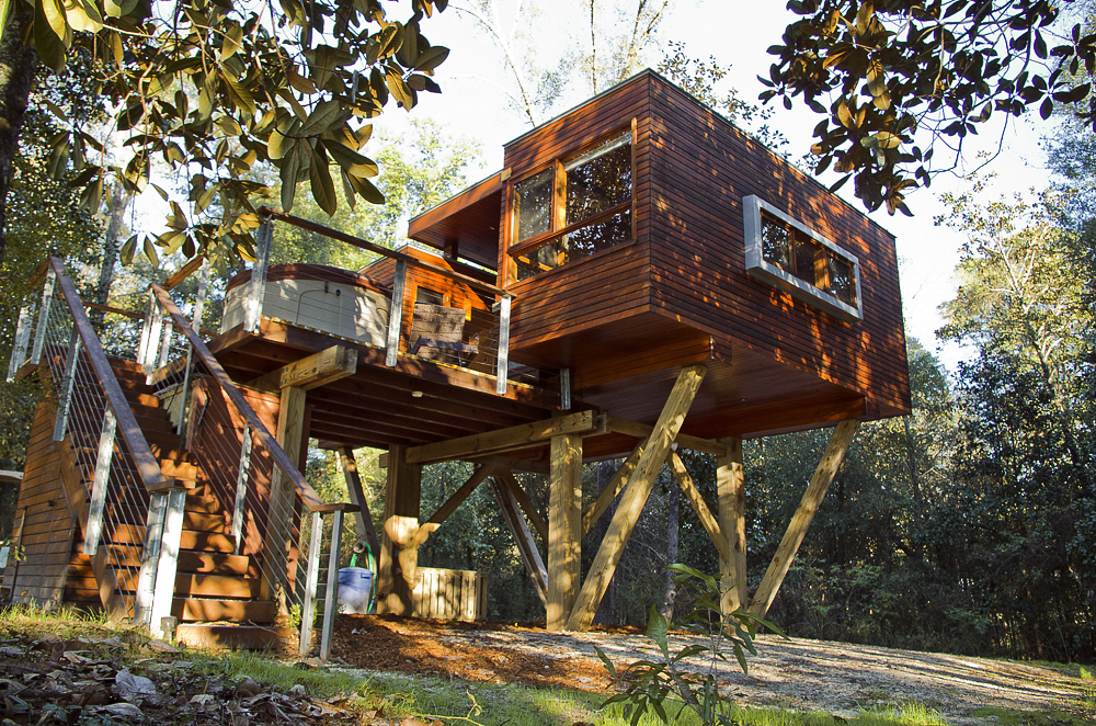 hình ảnh ngôi nhà trên cây bằng gỗ tự nhiên màu cánh gián, cửa sổ kính, cầu thang gỗ chắc chắn