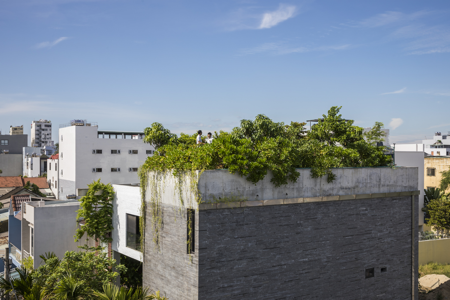 hình ảnh các tầng trên ngôi nhà Thắng ở Đà Nẵng với mái trồng nhiều cây xanh