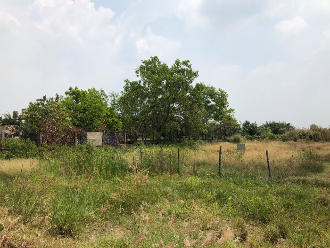 hình ảnh một lô đất vườn đang chào bán tại khu vực huyện Cần Giờ