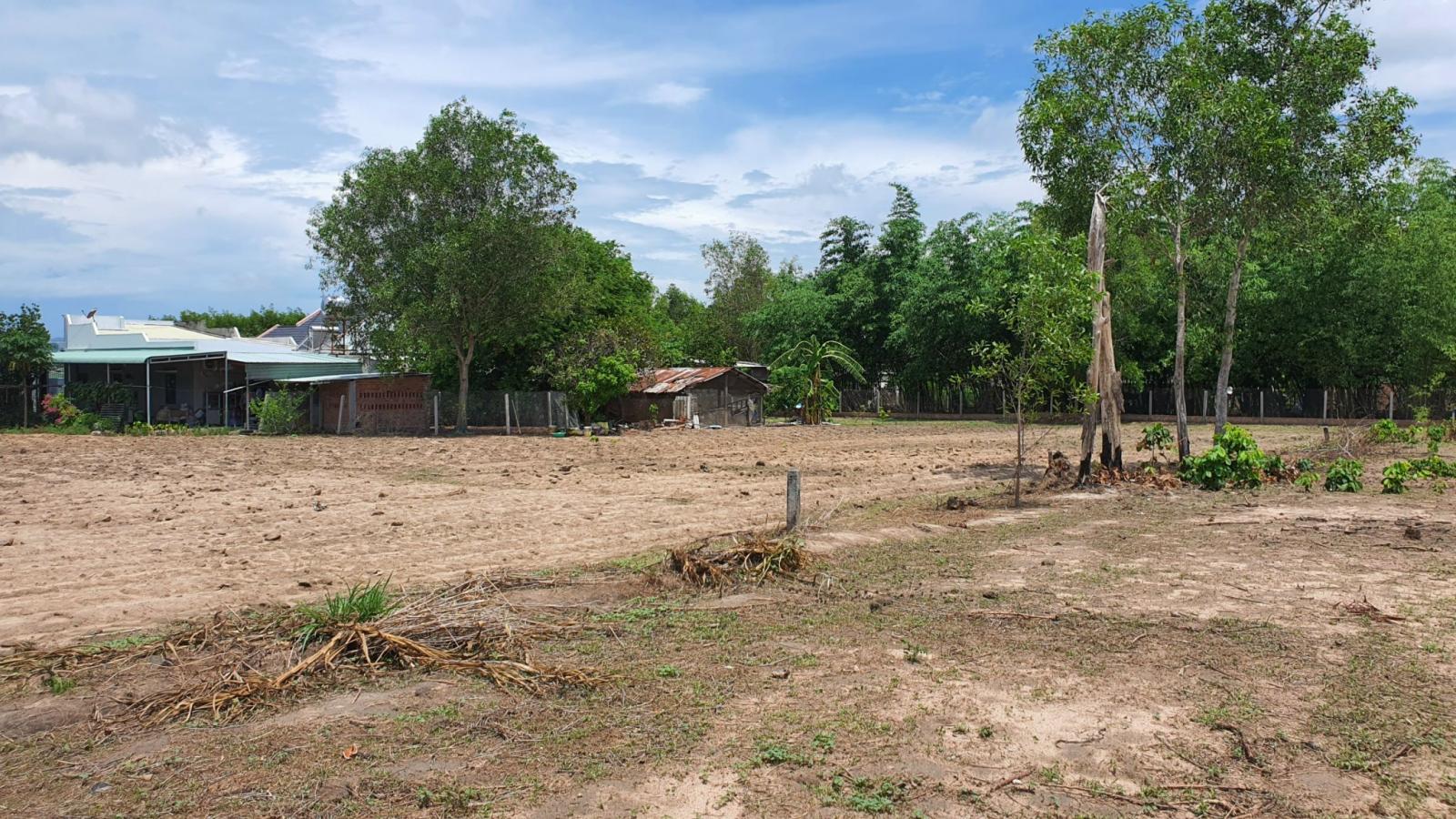 hình ảnh một khu đất trống tại khu vực Long Hòa, Cần Giờ