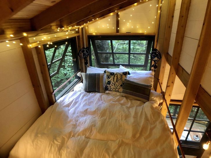 hình ảnh phòng ngủ nhà trên cây