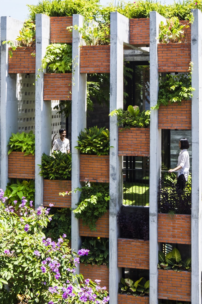 hình ảnh cận cảnh mặt tiền nhà phố với tường gạch, bê tông kết hợp cây xanh