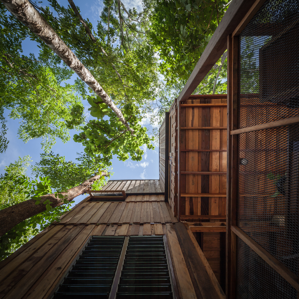 hình ảnh cận cảnh ngôi nhà gỗ giữa rừng cây nhìn từ dưới lên cao