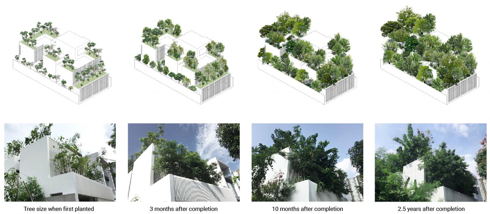 Phối cảnh kiến trúc ngôi nhà cho cây xanh ở Thái Lan