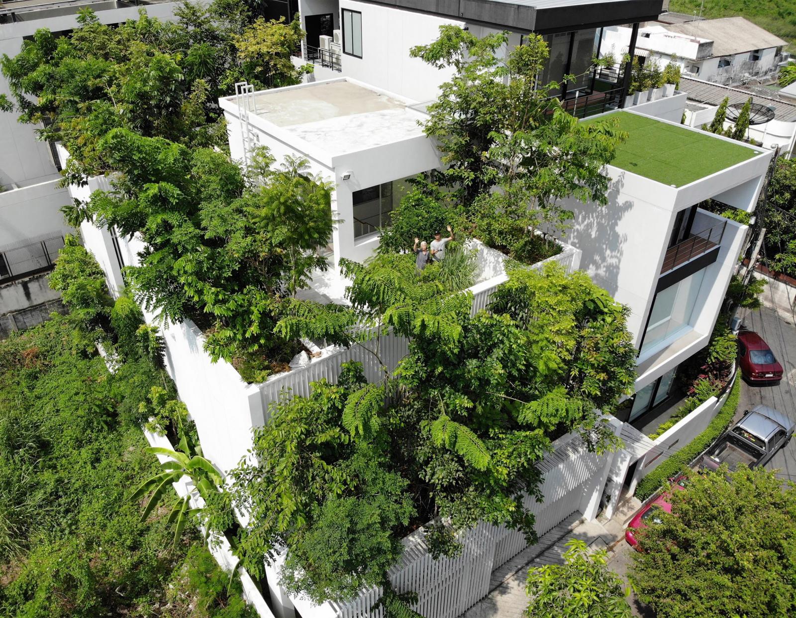 hình ảnh cận cảnh mái nhà trồng cây xanh nhìn từ trên cao