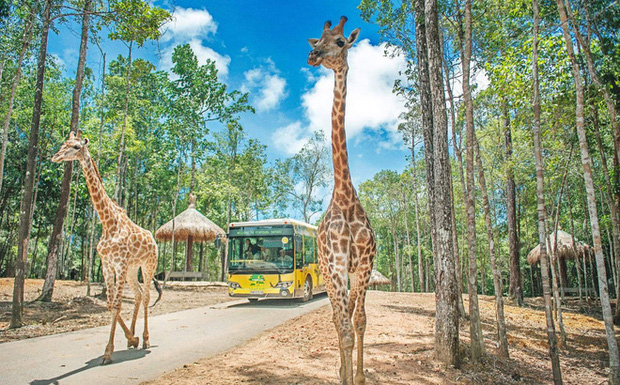 Quảng Ninh sẽ có khu bảo tồn thiên nhiên và du lịch sinh thái Safari