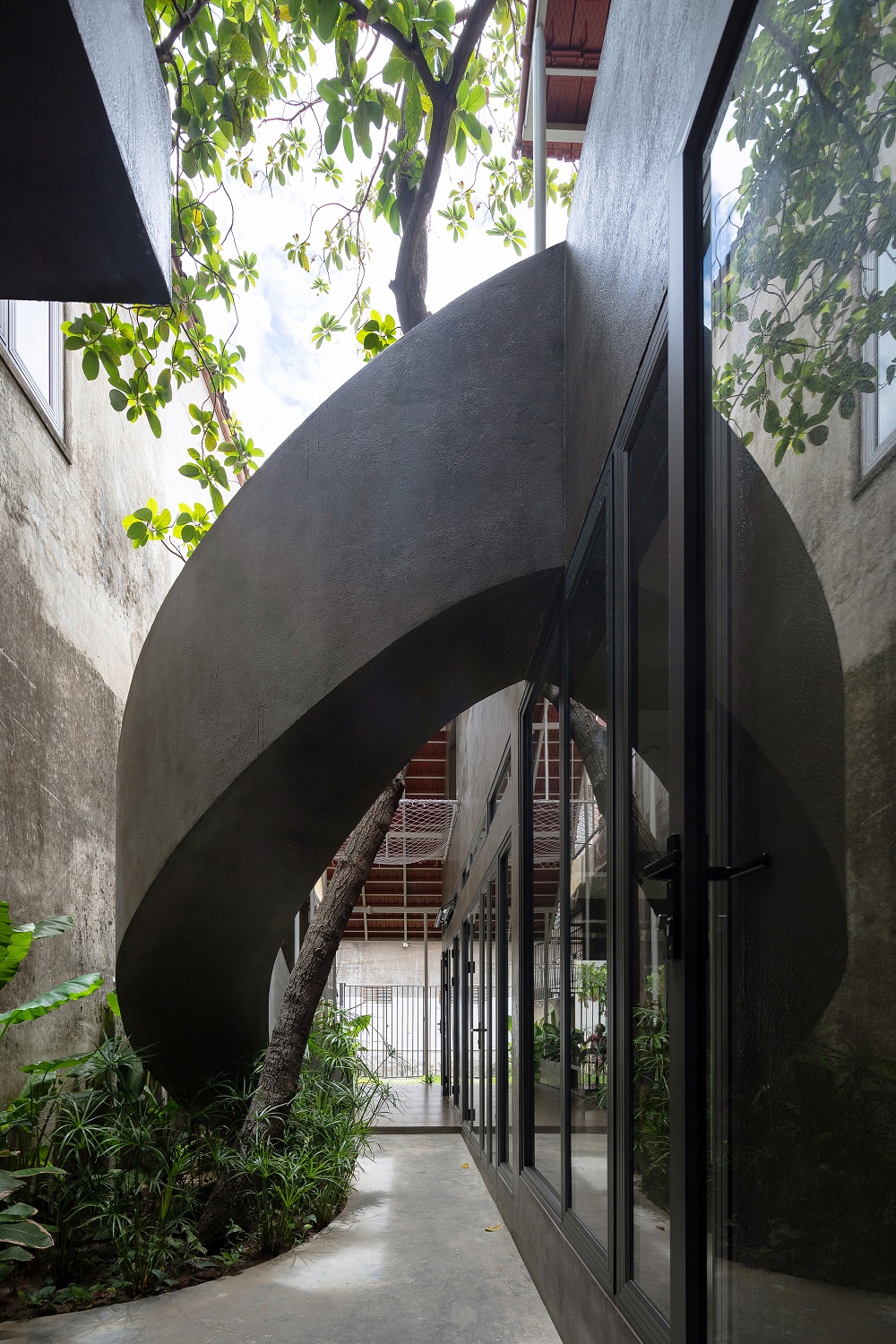 Cầu thang xoắn ốc ôm lấy cây bơ tạo điểm nhấn ấn tượng cho không gian nhà.