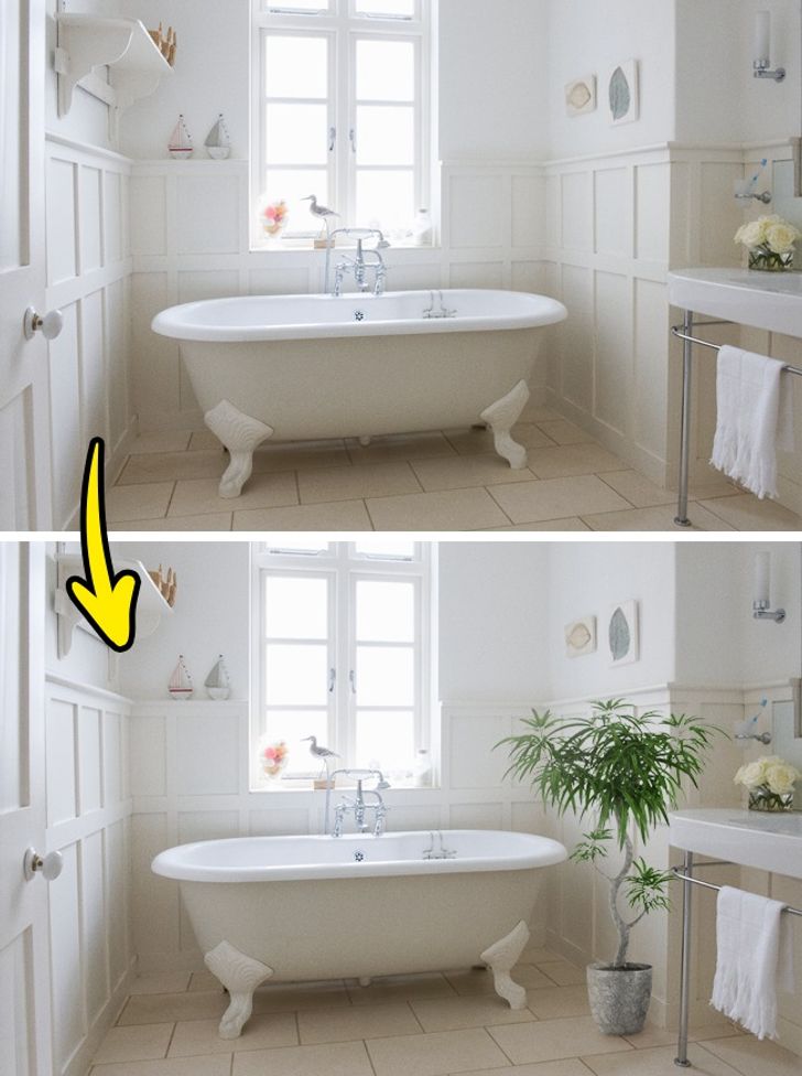 hình ảnh phòng tắm trước và sau khi sử dụng cây xanh làm điểm nhấn trang trí
