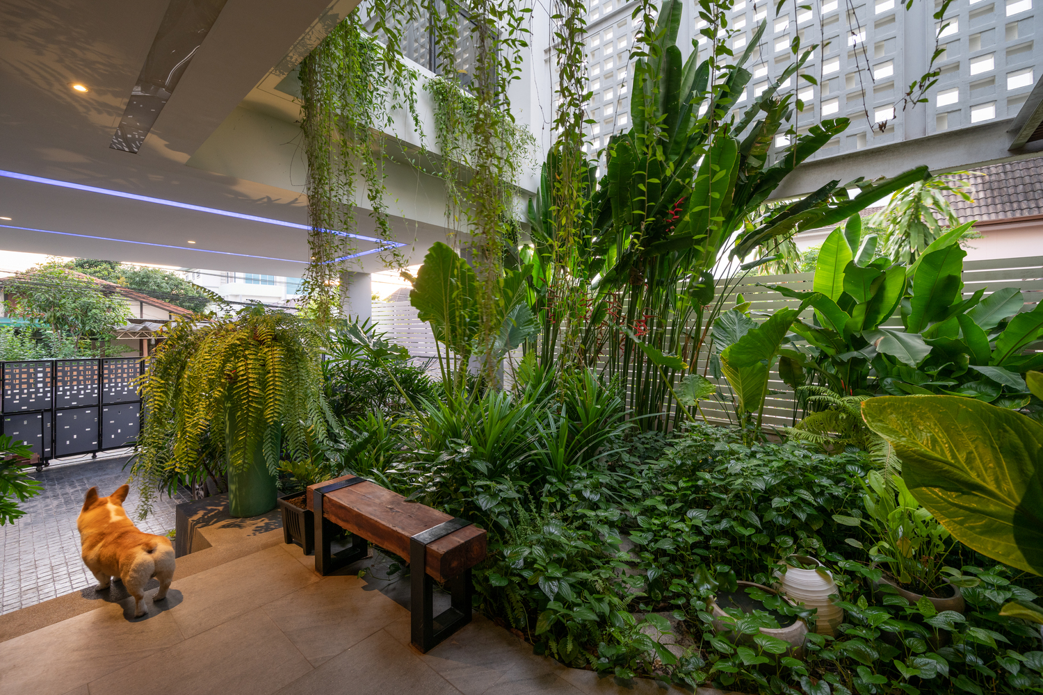 Căn biệt thự chứa cả sân vườn nhiệt đới xanh mát bên trong