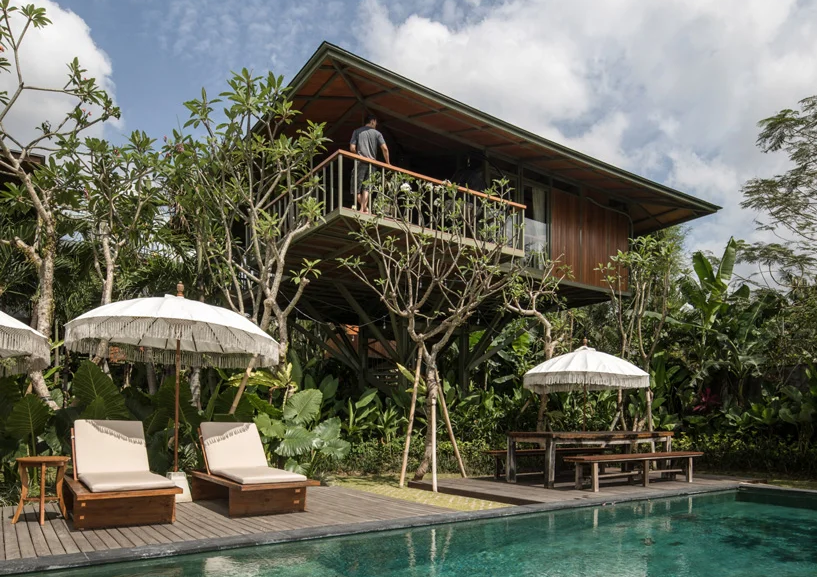 Độc đáo nhà trên cây ở đảo Bali