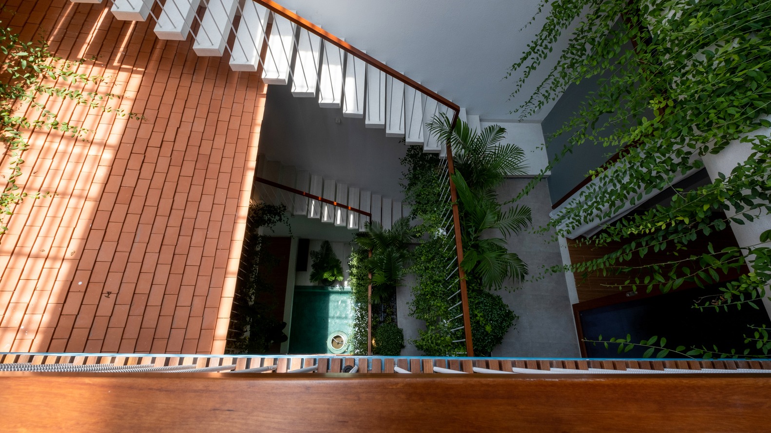 hình ảnh khu vực cầu thang, giếng trời trồng cây xanh