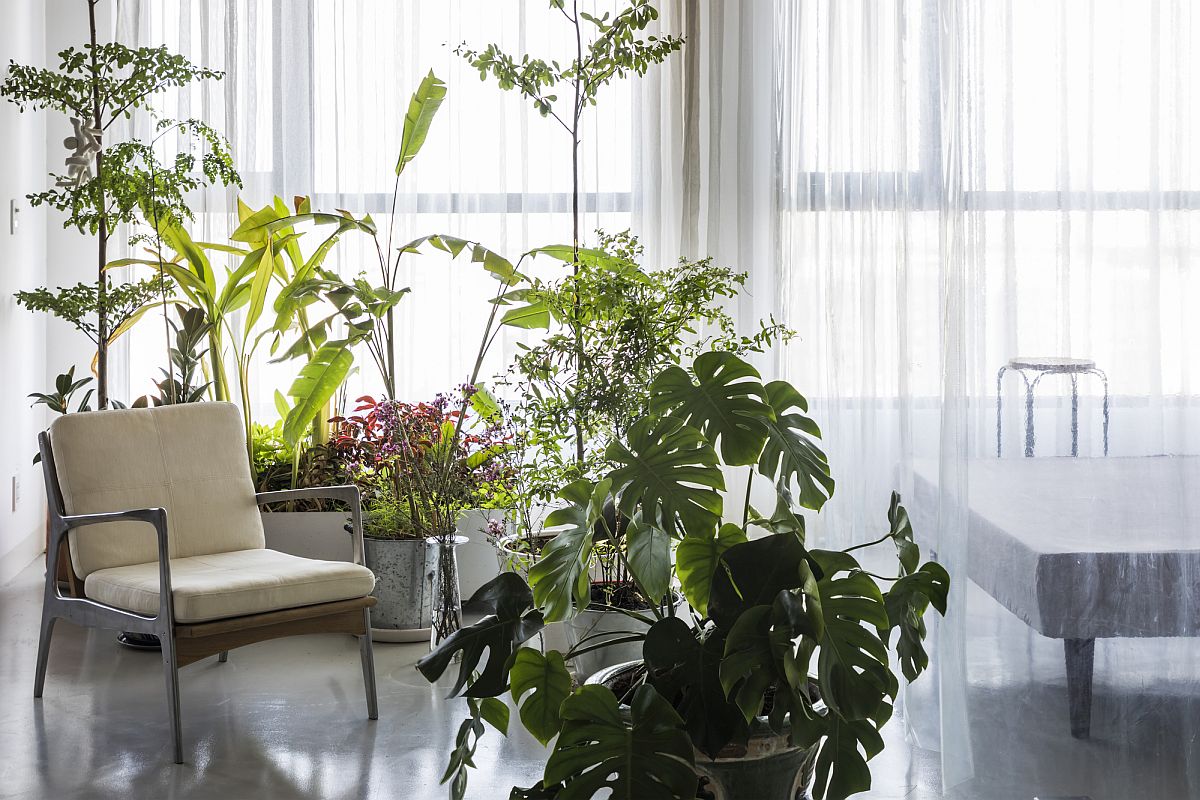 Bộ sưu tập các loại cây trồng nhiệt đới tạo thêm sự tươi mới cho nội thất căn hộ.