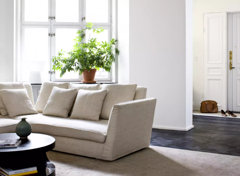 hình ảnh phòng khách ngôi nhà có phong thủy tốt với ghế sofa màu trắng, chậu cây cảnh xanh tốt tạo điểm nhấn, cửa sổ kính ngập tràn ánh nắng