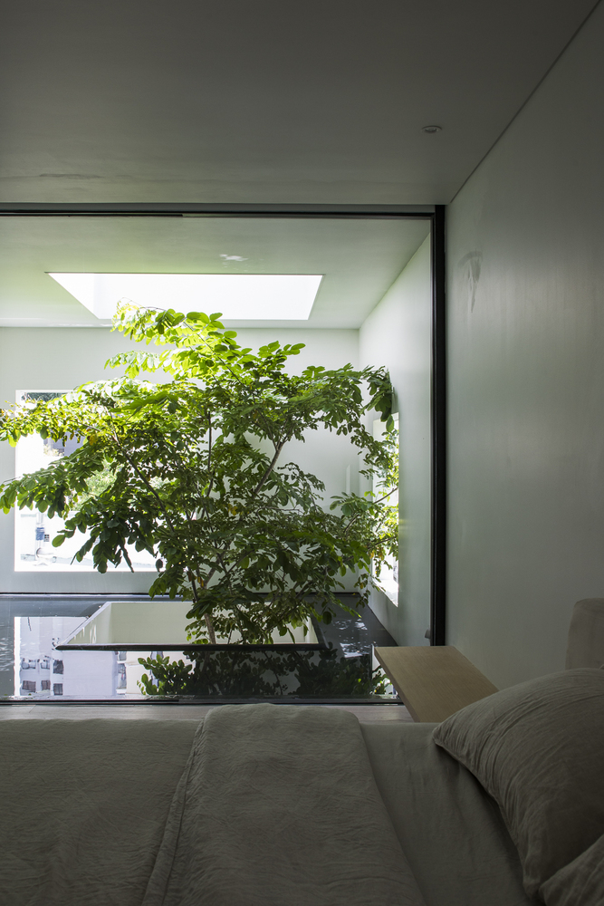 hình ảnh một góc phòng ngủ cạnh khoảng thông tầng trồng cây xanh