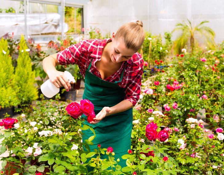 hình ảnh người phụ nữ dùng thuốc diệt côn trùng trong vườn nhà