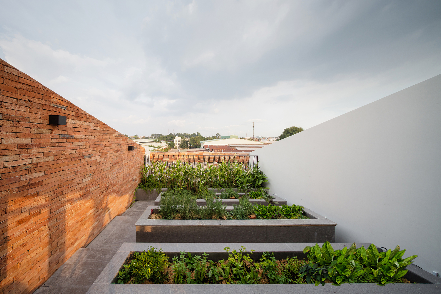 cận cảnh vườn rau trên sân thượng nhà ống, trồng theo luống, cạnh đó là tường gạch đỏ