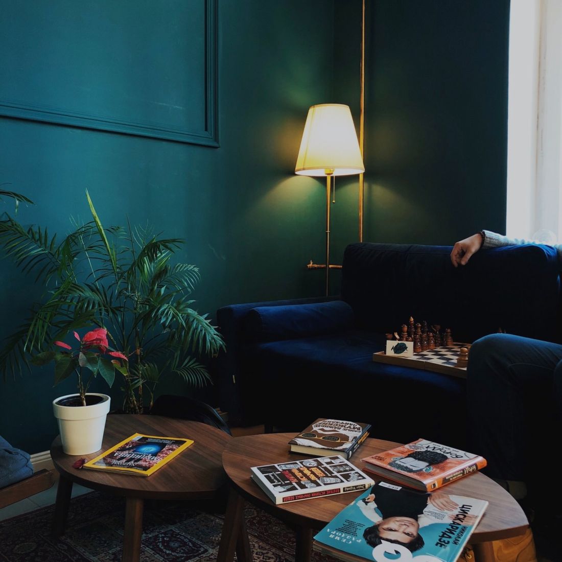 hình ảnh góc phòng khách với tường sơn màu xanh nước biển đậm, ghế sofa,  chậu cây trạng nguyên để trên bàn trà hình tròn, cây xanh trang trí