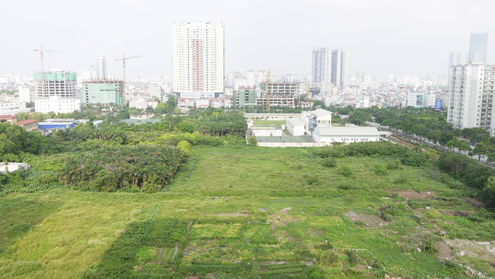 hình ảnh một khu đất nông nghiệp với cỏ cây mọc xanh tốt, xa xa là những tòa nhà cao tầng, khu dân cư thấp tầng