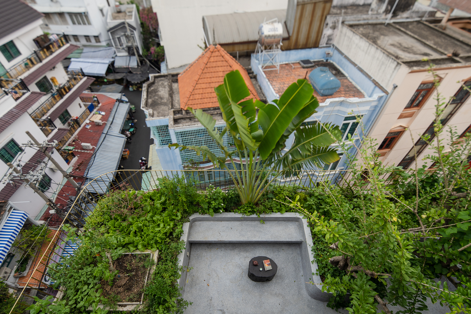 Thảm thực vật xanh mướt trên tầng thượng cũng là đặc điểm khiến nhà phố nổi bật hẳn so với các công trình xung quanh.