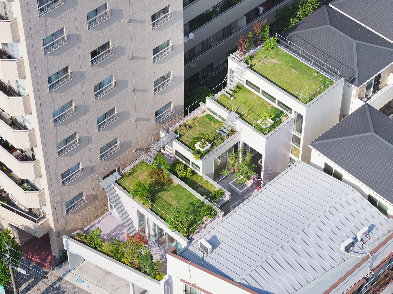 ngôi nhà ở Nhật với sân vườn xanh mát trên mái