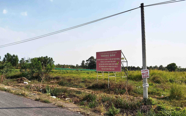 TP.HCM: Cảnh báo phân lô bán nền trái phép tại quận Bình Tân