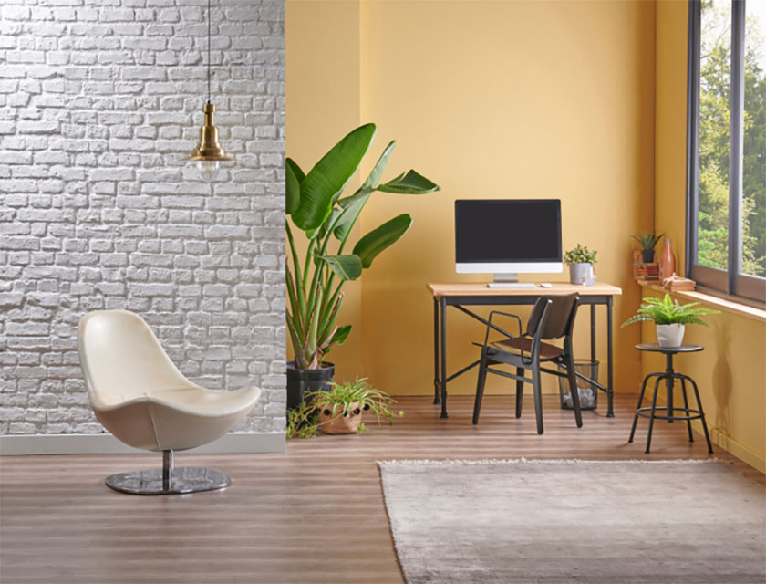 hình ảnh văn phòng với tường sơn màu vàng, bức tường gạch xám, cây xanh, đèn thả minh họa cho phong thủy phòng làm việc