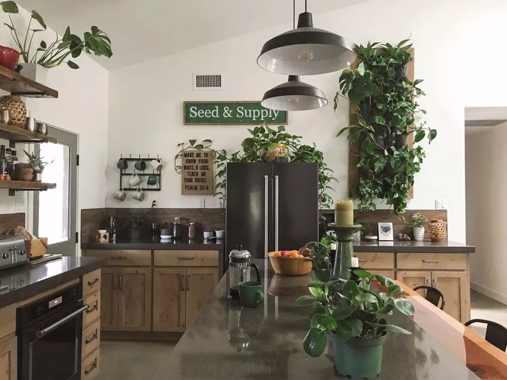 nhà bếp với tường thực vật sống