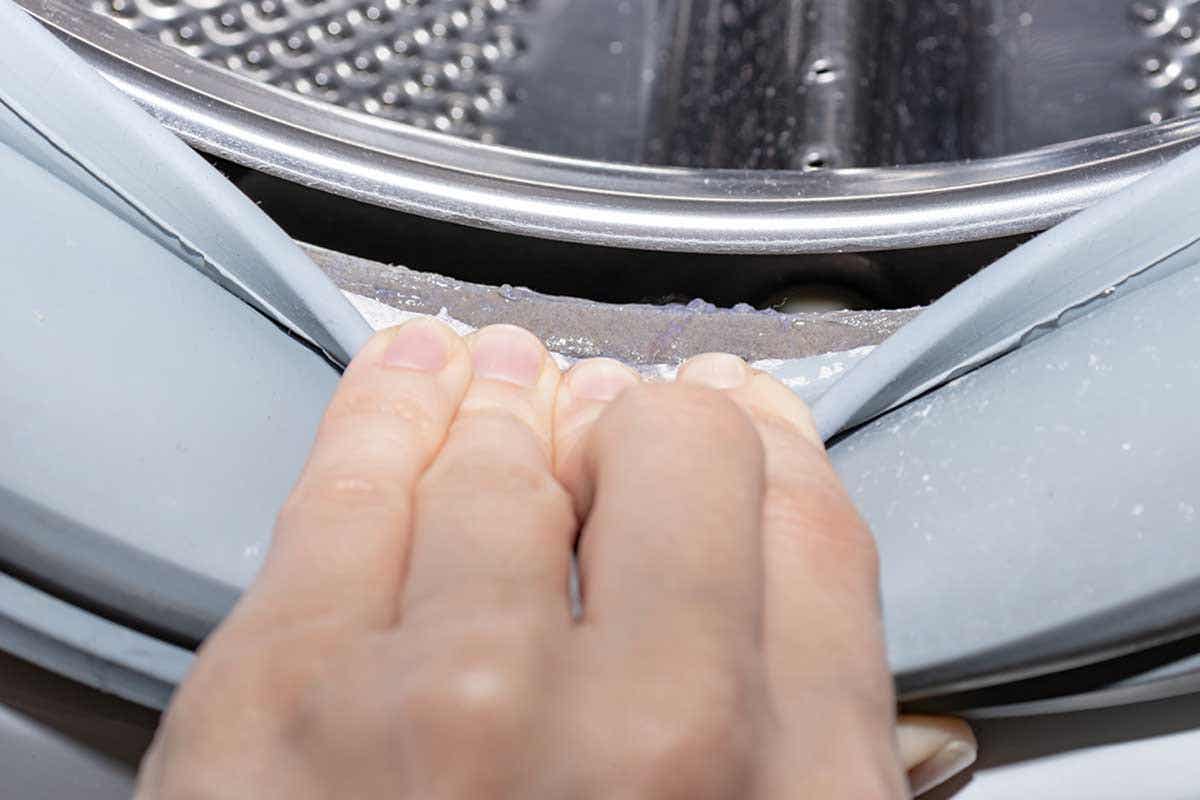 Cần phải vệ sinh kỹ các gioăng cao su trong máy giặt bởi chúng thường là thủ phạm gây mùi hôi cực kỳ khó chịu.