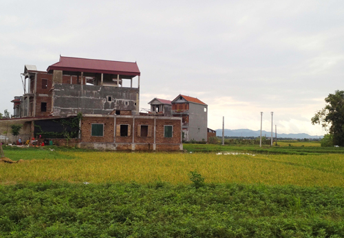 hình ảnh ngôi nhà đang được xây dựng bên cạnh đất nông nghiệp trồng lúa