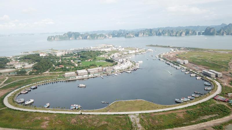 Hủy bỏ 27 đồ án quy hoạch chi tiết tại Tuần Châu (Quảng Ninh)