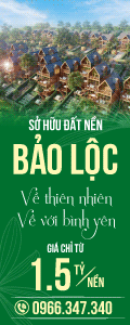 Oder banner dọc trái 1 - TuNA1 - Bán đất Bảo Lâm