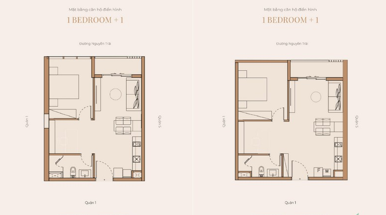 Mặt bằng căn hộ 1 phòng ngủ + 1 phòng tắm, diện tích 55,8m2 và 64,9m2