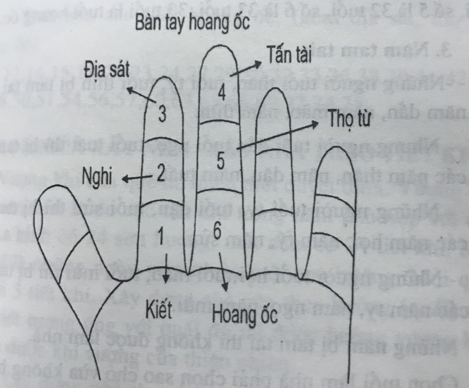 Cách tính Hoang ốc dựa theo quy luật các cung trên bàn tay Hoang ốc.