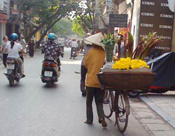 Ngang nhiên bán hàng rong trên phố cấm