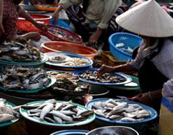 Ghé chợ cá bên sông Hoài