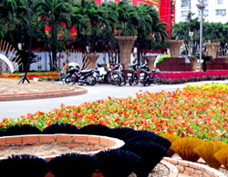 Cấm xe nhiều tuyến đường trung tâm Sài Gòn dịp Tết