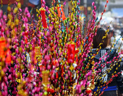 Chợ hoa xuân Hà Nội