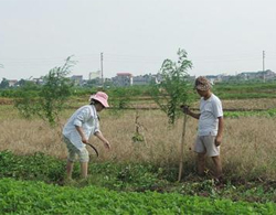 Đất vàng vẫn đang bị bỏ quên