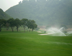Ninh Bình: Khai trương sân golf