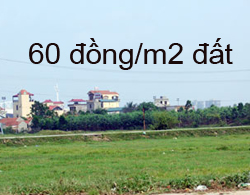 Đất đấu giá 60 đồng/m2