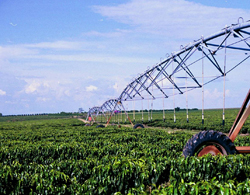 Brazil: Không cho phép người nước ngòai mua bán đất nông nghiệp