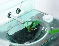 Bộ sưu tập lavabo kính