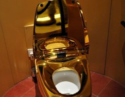 Chiêm ngưỡng chiếc toilet bằng vàng 24k