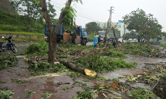 TP Lào Cai thiệt hại vì mưa lớn